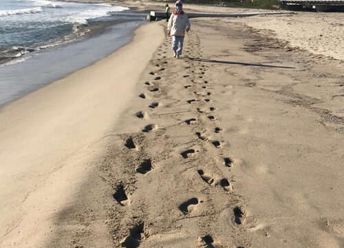 낙산 해변 맨발걷기